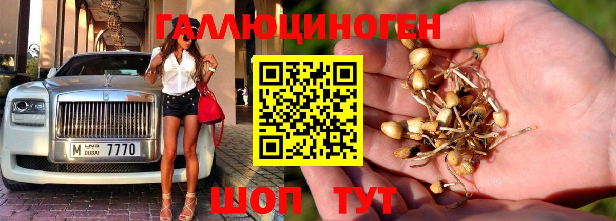 Галлюциногенные грибы Cubensis Новоуральск